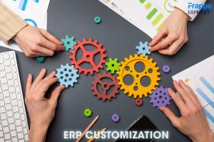 ERP Customization